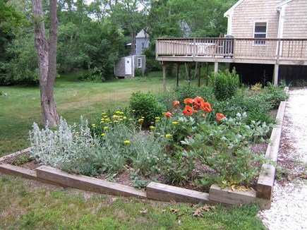 Wellfleet Cape Cod vacation rental - Garden