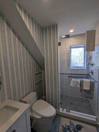 Wellfleet Cape Cod vacation rental - Guest bathroom