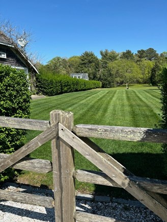 Harwich Cape Cod vacation rental - Gorgeous Yard to Enjoy