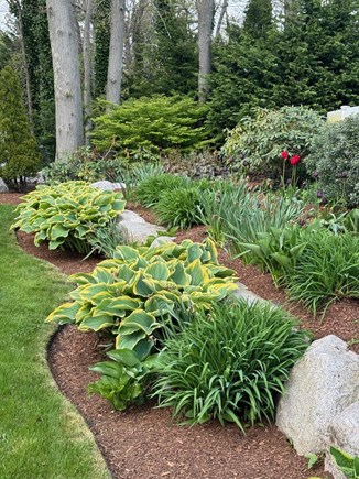 Centerville Cape Cod vacation rental - Front garden