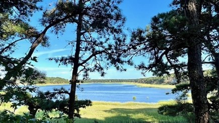 Wellfleet Cape Cod vacation rental - Drummer Cove across the street at high tide