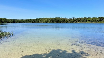 Wellfleet Cape Cod vacation rental - Fresh water swimming pond