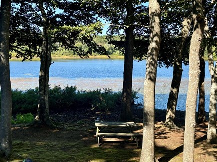 East Harwich Cape Cod vacation rental - Gorgeous backyard setting