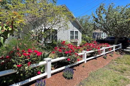 Hyannis Cape Cod vacation rental - 