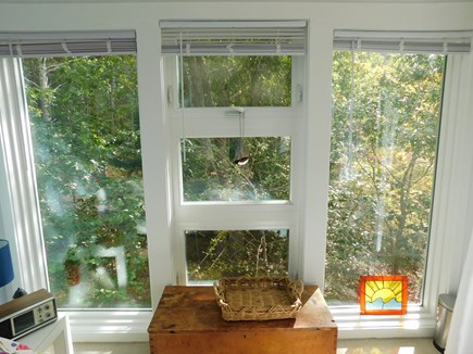Wellfleet Cape Cod vacation rental - 