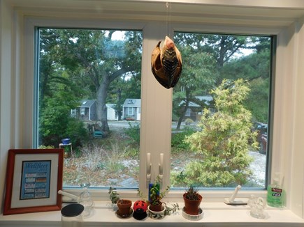 Wellfleet Cape Cod vacation rental - 