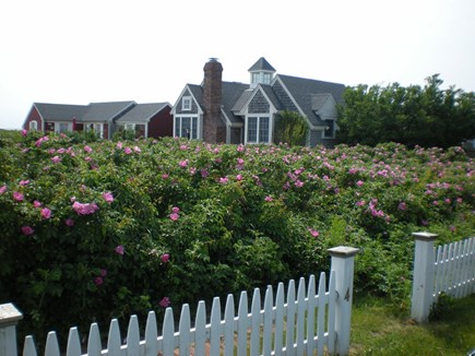 Truro Cape Cod vacation rental - 