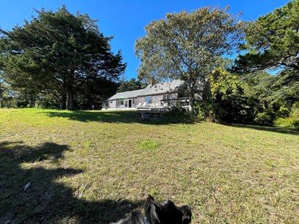 South Orleans Cape Cod vacation rental - 