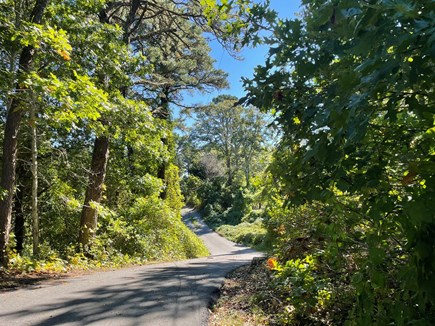 South Orleans Cape Cod vacation rental - 
