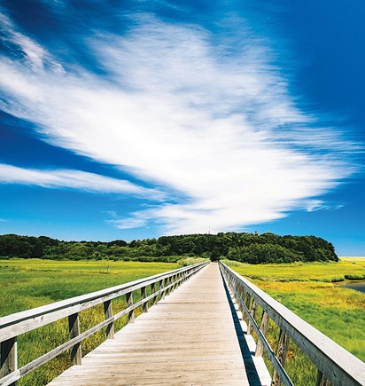 Wellfleet Cape Cod vacation rental - The amazing cape cod rail trail is nearby