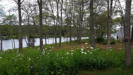 Orleans Cape Cod vacation rental - 