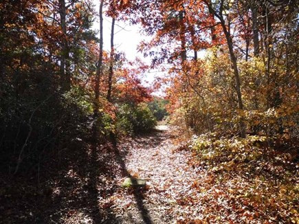 South Yarmouth Cape Cod vacation rental - 