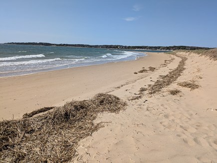 South Wellfleet Cape Cod vacation rental - Beautiful Indian Neck beach, with jetty.