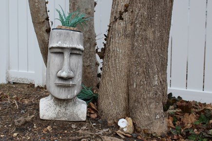 Dennis Cape Cod vacation rental - Warren, our garden guardian.