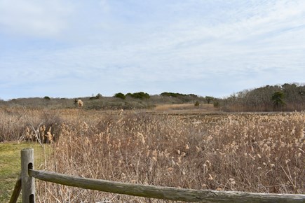 West Dennis Cape Cod vacation rental - Marsh Views