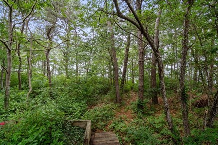 West Yarmouth, off Buck Island Cape Cod vacation rental - 
