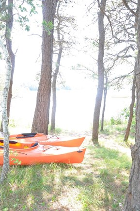 Bourne Cape Cod vacation rental - Kayaks (we also have Paddle Boards)