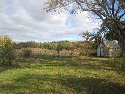 Bourne Cape Cod vacation rental - Enjoy 8 acres - former cranberry bog