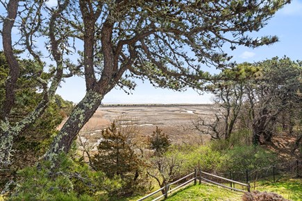 Orleans, Saltwater Serenity Cape Cod vacation rental - Marsh view
