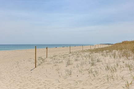 East Orleans Cape Cod vacation rental - Looking down the beach on a beautiful day