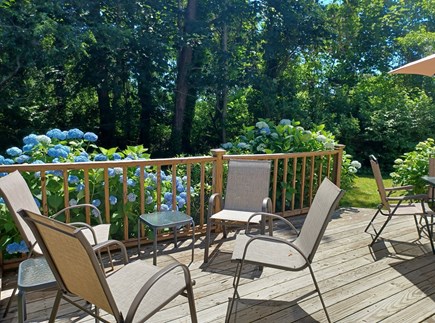 Orleans Cape Cod vacation rental - 