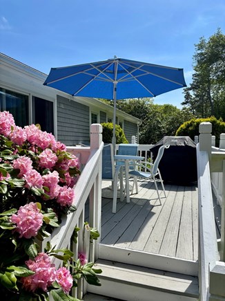 Centerville Cape Cod vacation rental - Relax on the Deck, Weber Grill