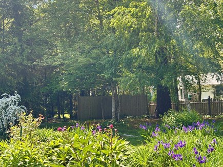 Centerville Cape Cod vacation rental - Flower beds something is always flowering