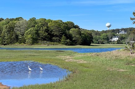 Wellfleet Cape Cod vacation rental - Gorgeous Duck Creek views from the property