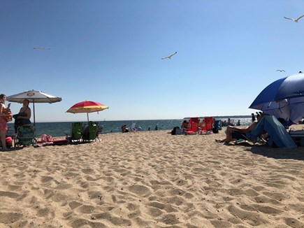 Centerville Cape Cod vacation rental - Close to Craigville Beach.  Grab a burger at the Barnacle!