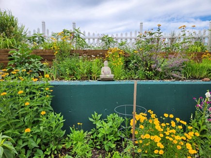 Provincetown Cape Cod vacation rental - Backyard!