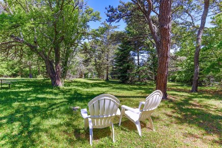 East Orleans Cape Cod vacation rental - Great place for bird watching or yard games!