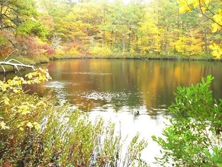 Wellfleet Cape Cod vacation rental - 