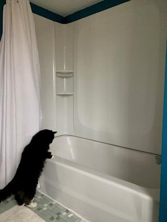 Eastham Cape Cod vacation rental - Private Bath. Cat not included.
