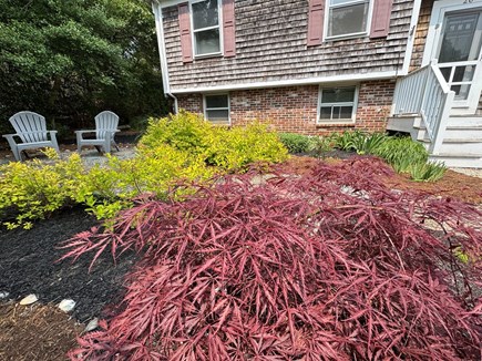 Provincetown Cape Cod vacation rental - The lower windows look out to a beautiful front yard.