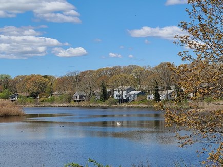 Hyannis Cape Cod vacation rental - 