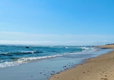 Eastham Cape Cod vacation rental - Beautiful sand & waves & seals swimming at Coast Guard Beach!