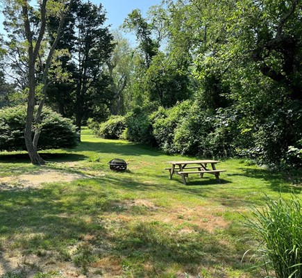 Eastham Cape Cod vacation rental - The front yard - you can add the hammock also for a quiet day.