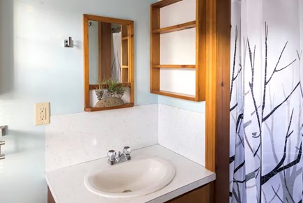 Wellfleet Cape Cod vacation rental - Full bathroom w shower basement floor includes tv & couch area