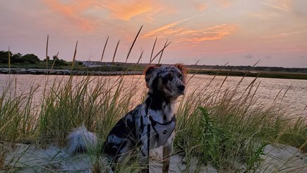 South Yarmouth Cape Cod vacation rental - This sunset is Bayou approved.