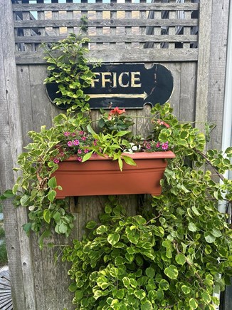 Dennis Cape Cod vacation rental - Outside Shower