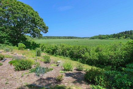 Truro Cape Cod vacation rental - Views