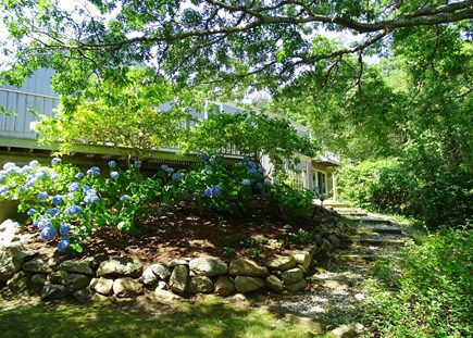 East Sandwich Cape Cod vacation rental - Back of house showing deck 
