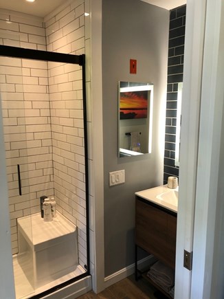 Provincetown Cape Cod vacation rental - Updated bathroom with sleek, modern design