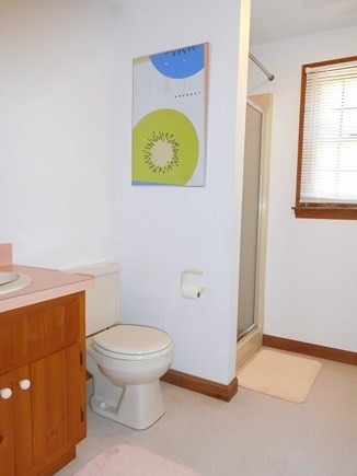 Wellfleet Cape Cod vacation rental - Bathroom Space
