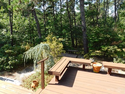 Wellfleet Cape Cod vacation rental - 