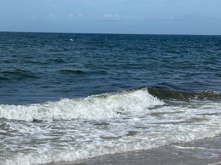 Harwich Cape Cod vacation rental - Spend the day on Nantucket Sound at Bank Street Beach.