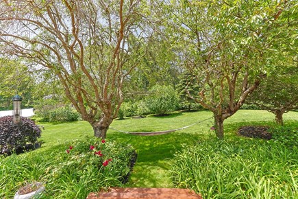 Chatham, Harborside Cape Cod vacation rental - Shaded Hammock for lazy vacation days