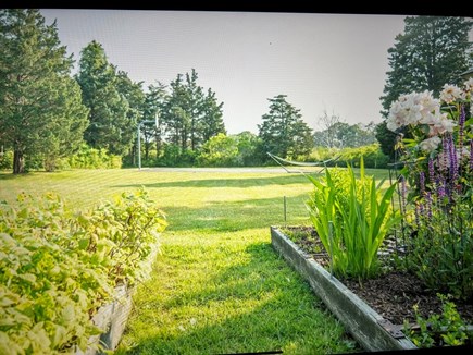 Eastham Cape Cod vacation rental - Backyard view of basketball court through gardens