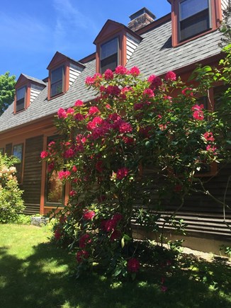 Harwich Cape Cod vacation rental - Cozy home on a Cul-de-sac