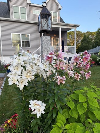 Yarmouth Cape Cod vacation rental - Beautiful gardens!